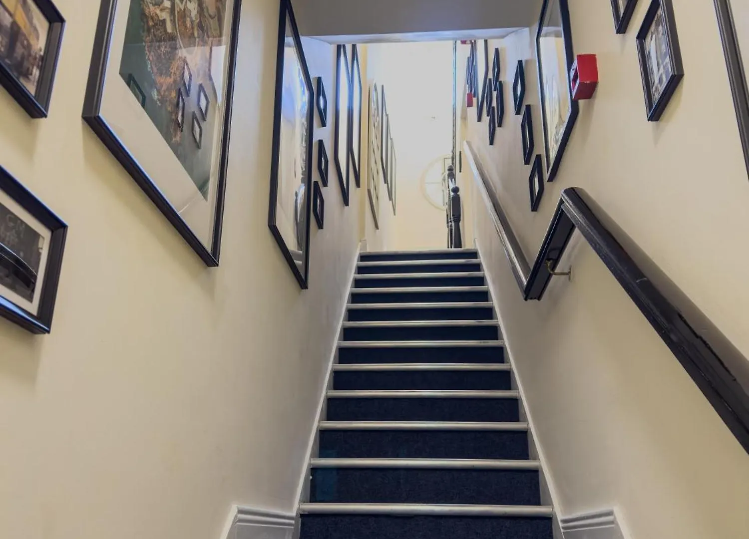 Molloys Apartments دبلن
